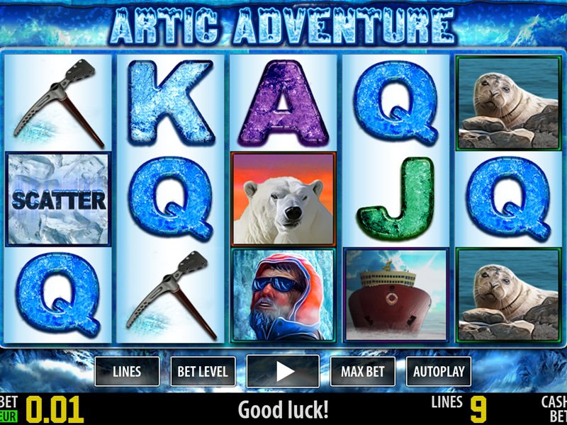 Artic Adventure HD - apercu