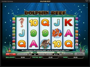 Dolphin Reef - apercu