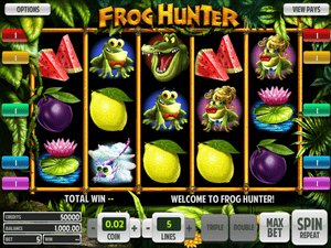 Frog Hunter - apercu