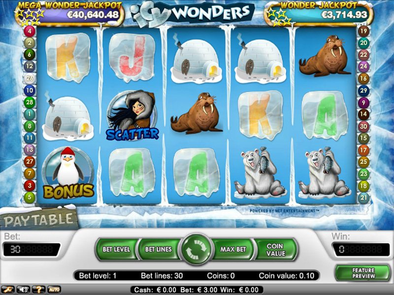 Icy Wonders - apercu
