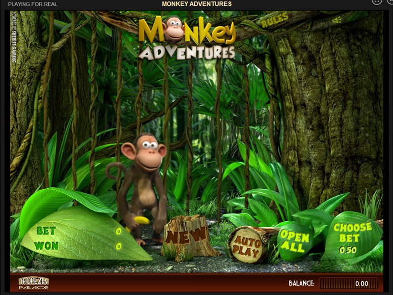 Monkey Adventures - apercu