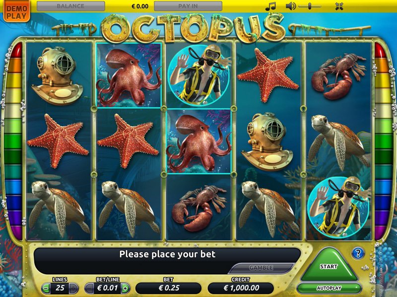 Octopus - apercu