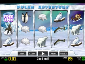 Polar Adventure HD - apercu