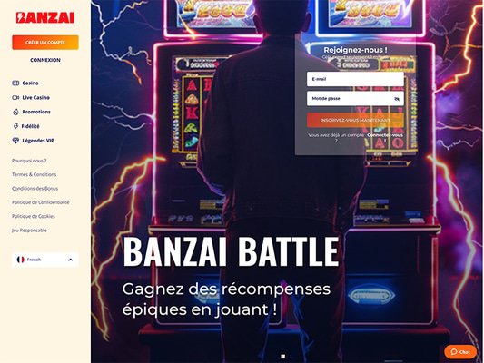 screenshot - website