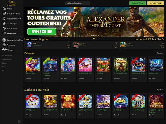 screenshot - website