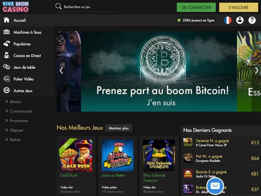 screenshot - website