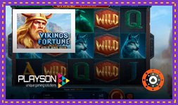 Les casinos Playson présentent Vikings Fortune Hold and Win