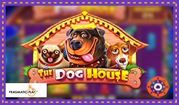 Découvrez le jeu de casino The Dog House Megaways