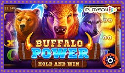 Focus sur le jeu de casino Buffalo Power Hold And Win
