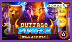 Focus sur le jeu de casino Buffalo Power Hold And Win