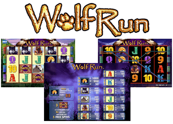 wolf run