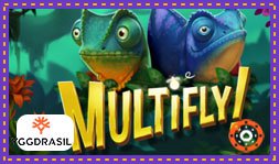 Présentation du jeu de casino en ligne Multifly