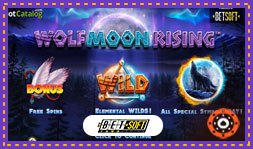 Présentation du jeu de casino Wolf Moon Rising