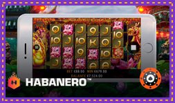 Sortie de jeu de casino : 5 Lucky Lions de Habanero